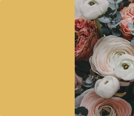 product bg img